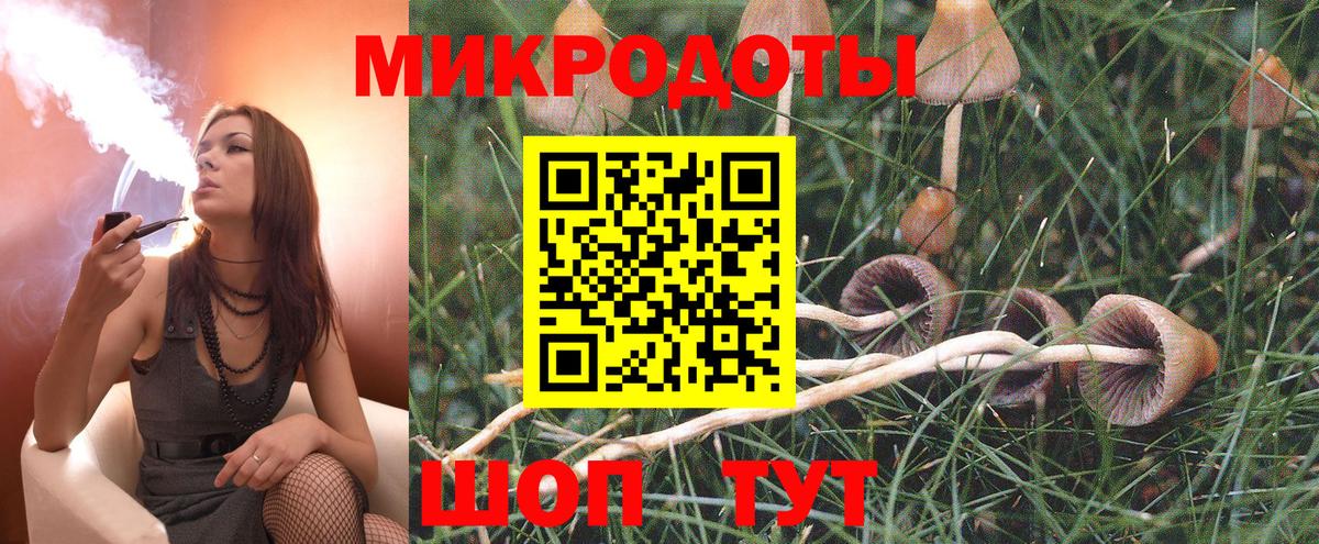 Кимры  закладки  Вход с VPN  Галлюциногенные грибы мицелий 